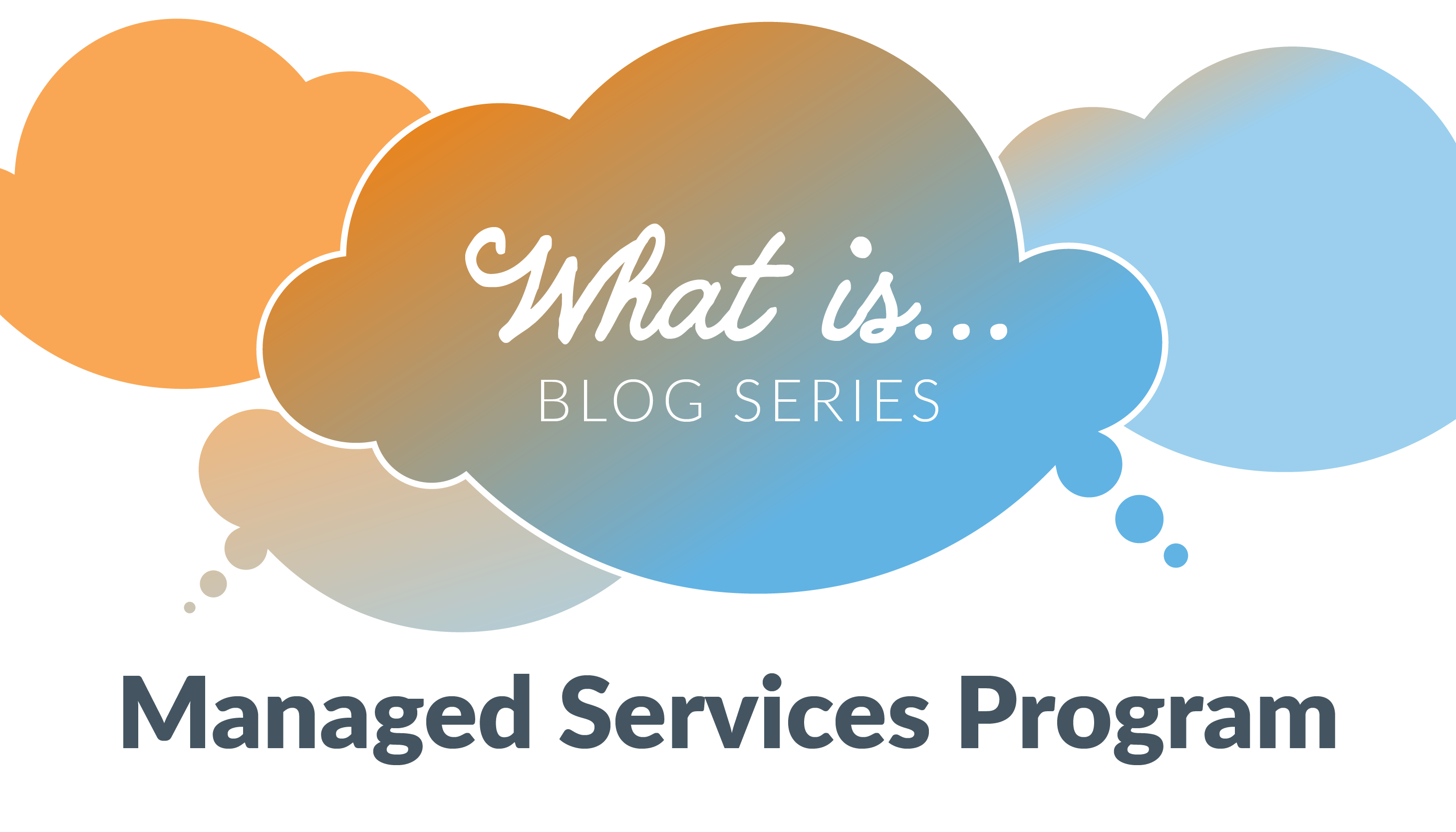 Managed Service Provider (MSP) | A Mid-Size Business Partner